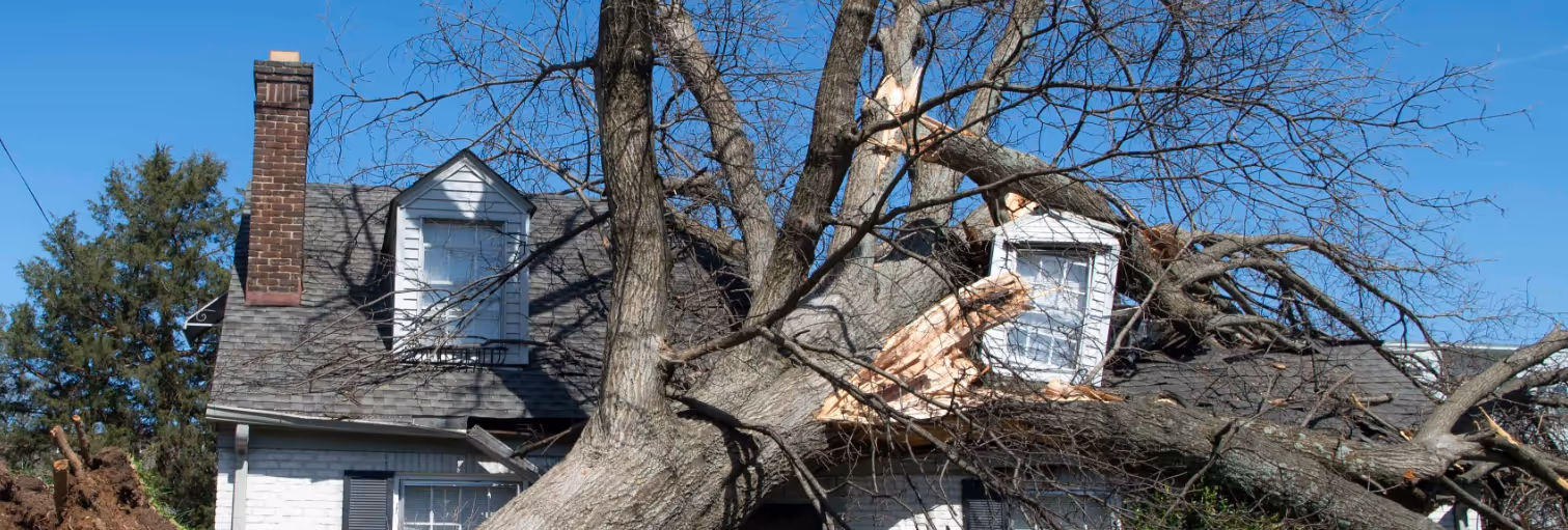 Nashville Metal Roof Insurance